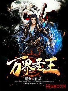 万界圣王小说