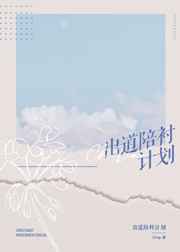 出道陪衬计划小说