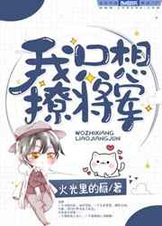 我只想撩将军小说