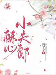 酥心小夫郎小说