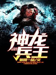 神龙兵王小说