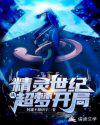 精灵世纪：从超梦开局小说