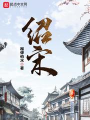 绍宋小说
