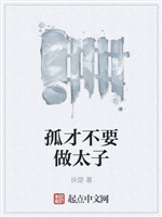 孤才不要做太子小说