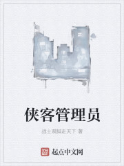 侠客管理员小说