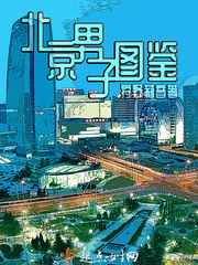 北京男子图鉴小说