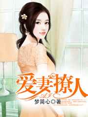 爱妻撩人小说