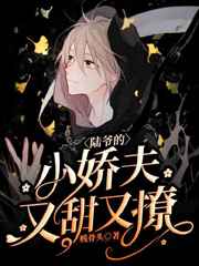 陆爷的小娇夫又甜又撩小说