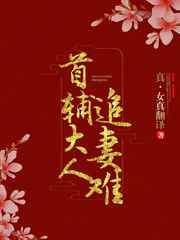 首辅大人，你老婆跑啦小说
