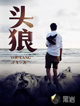 头狼小说