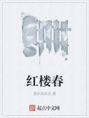 红楼春小说