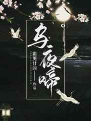 乌夜啼小说