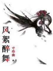 风絮醉舞小说