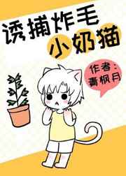 诱捕炸毛小奶猫小说