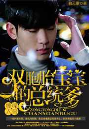 缠绵入骨:双胞胎宝宝的总统爹小说