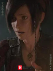 玩家研究指南小说