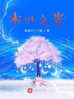 木叶之光小说