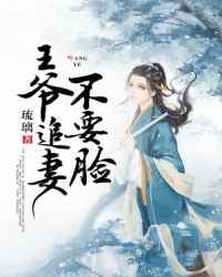 王爷追妻不要脸小说