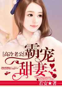 高冷老公霸宠甜妻小说