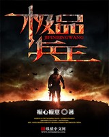 极品兵王小说
