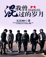 我曾混过的岁月小说