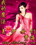 我的魔法美少女们小说