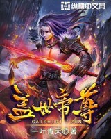 盖世帝尊小说