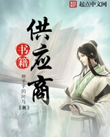 书籍供应商小说