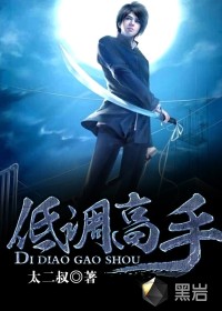 低调高手小说