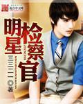 明星检察官小说