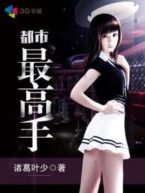 都市最高手小说