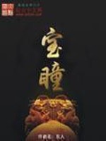 宝瞳小说