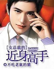 女总裁的近身高手小说