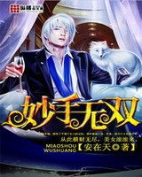 妙手无双小说