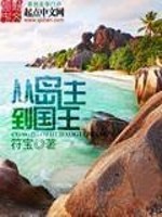 从岛主到国王小说