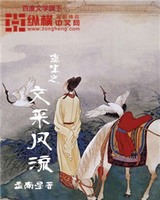 重生之文采风流小说