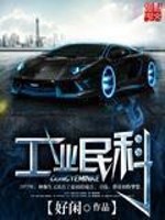 工业民科小说