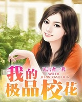 我的极品校花小说