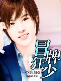 冒牌狂少小说