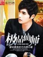 极品仙师小说