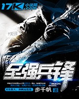 至强兵锋(超级兵王2)小说