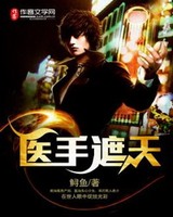 医手遮天小说