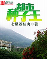 都市种子王小说