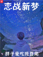 恋战新梦小说