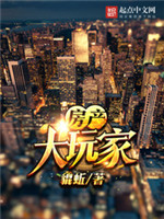 房产大玩家小说