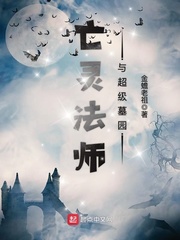 亡灵法师与超级墓园小说