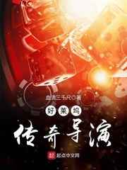 好莱坞传奇导演小说