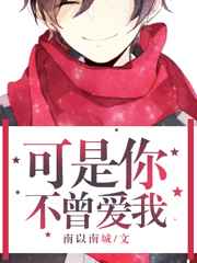 可是你不曾爱我小说