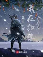 我在红楼当王爷小说