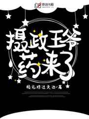 摄政王爷,药来了小说